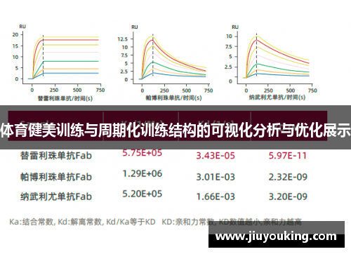 体育健美训练与周期化训练结构的可视化分析与优化展示